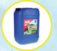 Calgodip Amadine Film